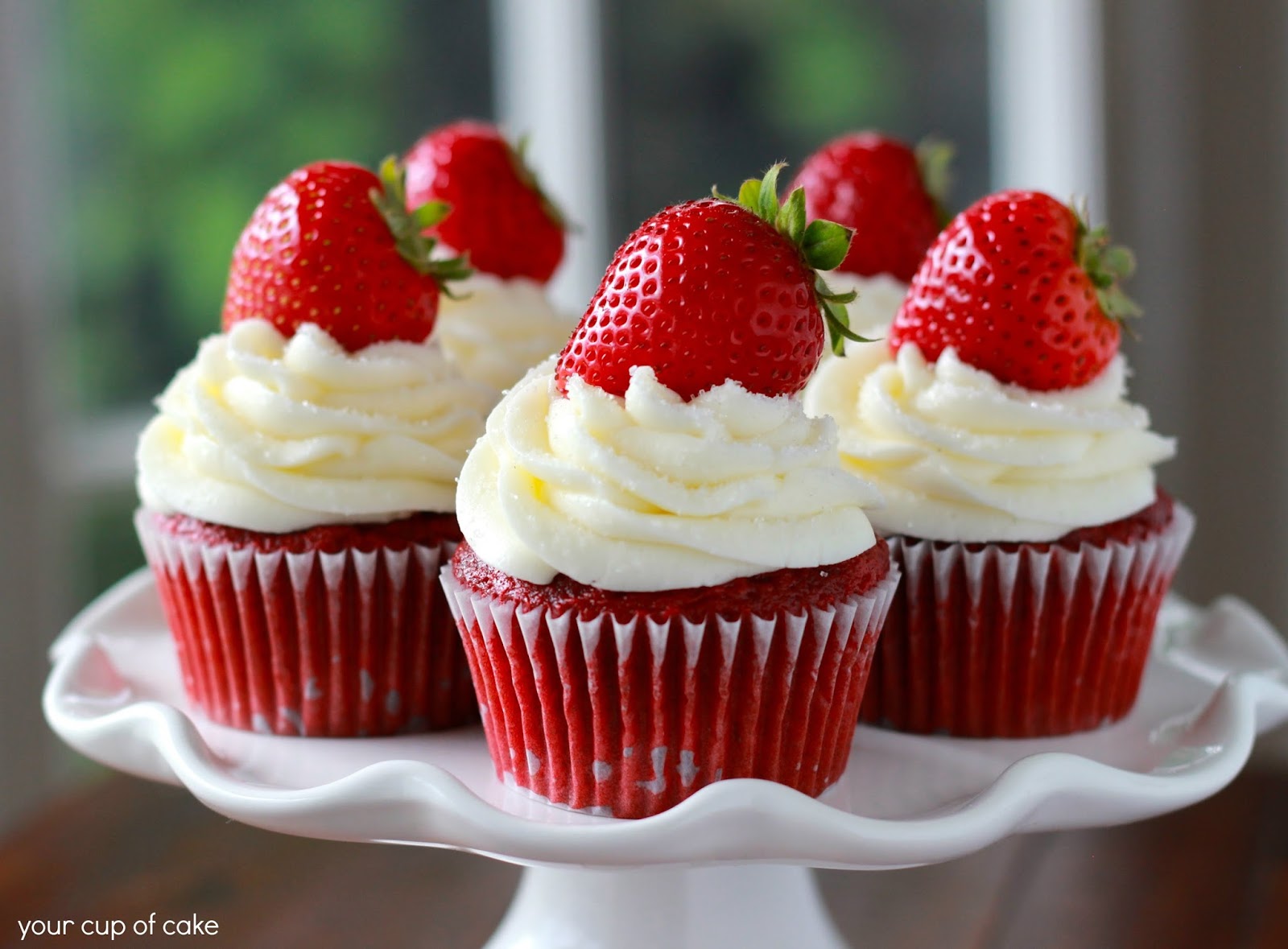 delicious cupcake